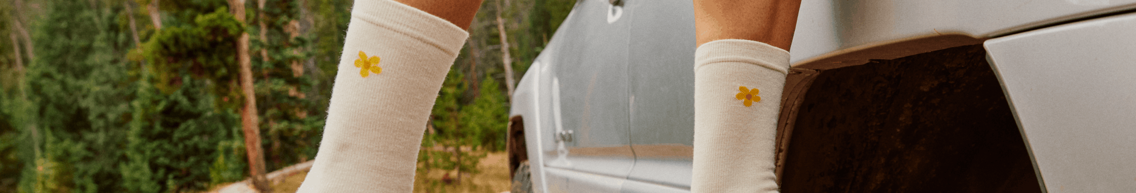 Women’s Everyday Socks