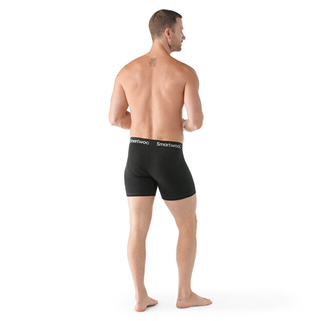 Men's Everyday Merino Boxer Brief - Men's Apparel | SMARTWOOL