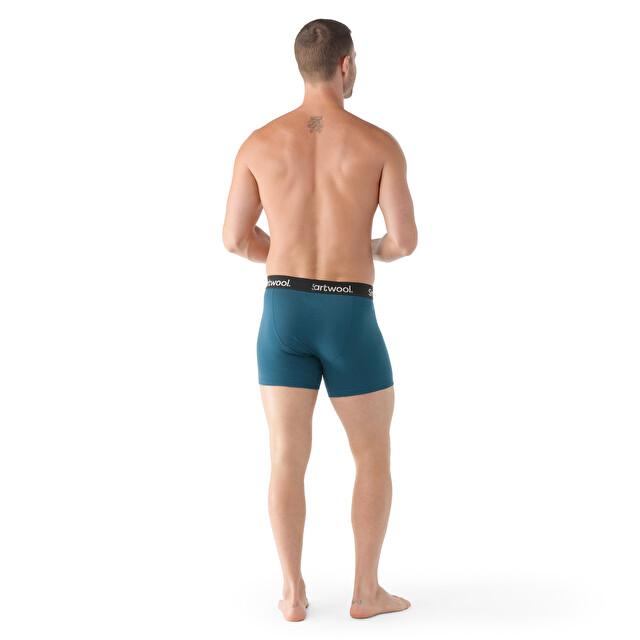 Men's Active Boxer Brief - Men's Apparel | SMARTWOOL