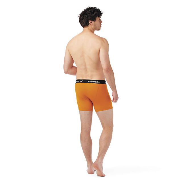 Men's Active Boxer Brief - Men's Apparel | SMARTWOOL