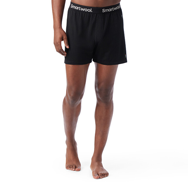 Men's Merino Boxer - Men's Apparel | SMARTWOOL