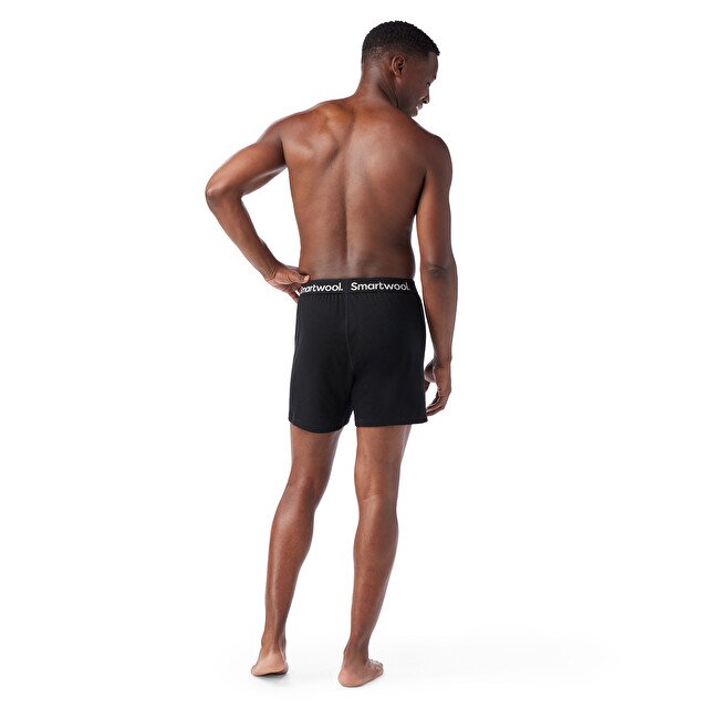 Men's Merino Boxer - Men's Apparel | SMARTWOOL