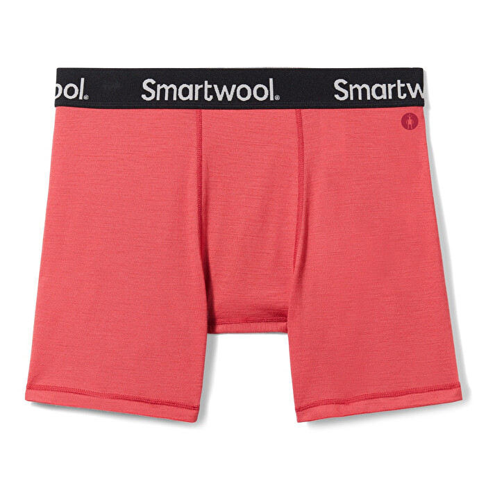 Smartwool Merino Sport 150 Boxer Briefs - Men's