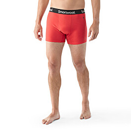 Mens Merino Wool Boxer Briefs -Breathable & Lightweight- Free Shipping –  Woolx