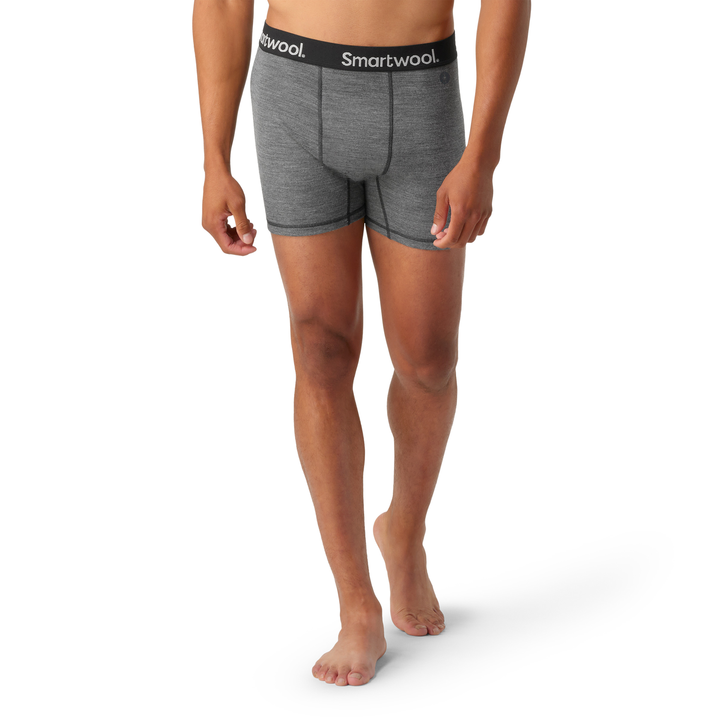Smartwool Underwear for Men, Online Sale up to 45% off