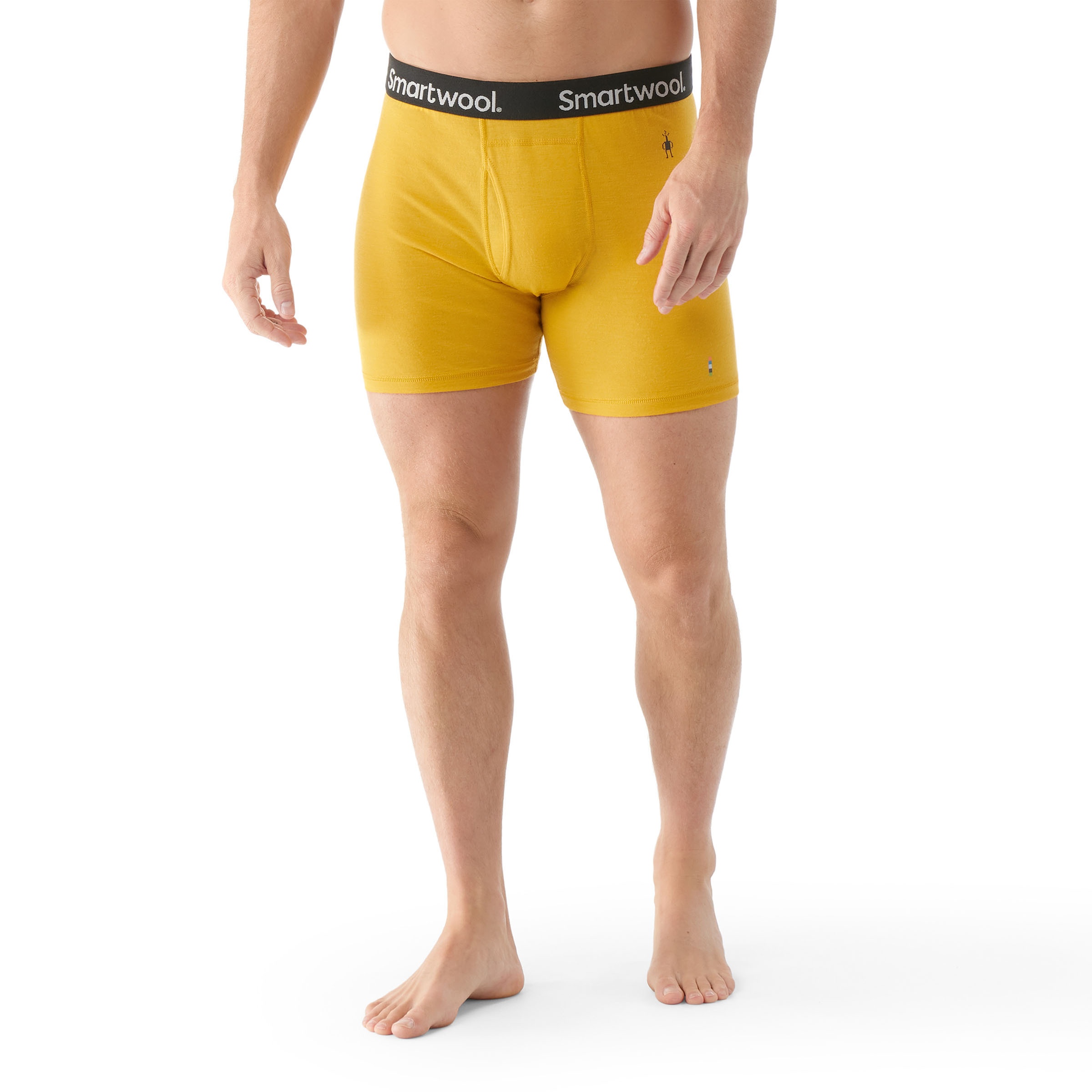 Smartwool SW016200001S Men's Merino 150 Boxer Boxed Black S : :  Clothing, Shoes & Accessories