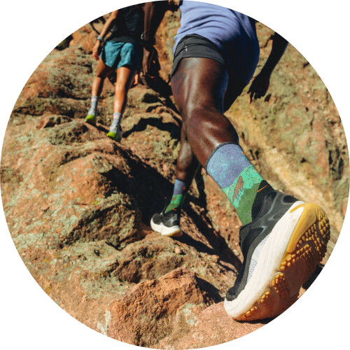 Chaussettes  | SMARTWOOL